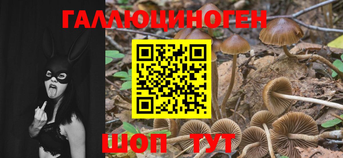 Галлюциногенные грибы мухоморы Сланцы