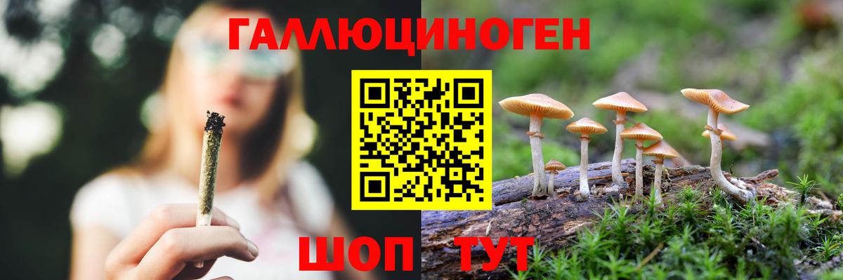 Псилоцибиновые грибы прущие грибы  Псилоцибиновые грибы MAGIC MUSHROOMS  Вход с VPN  Сланцы 